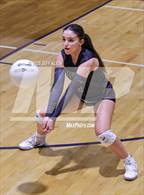 Photo from the gallery "Cardinal Newman @ Benjamin"