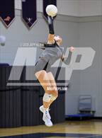 Photo from the gallery "Cardinal Newman @ Benjamin"