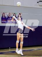 Photo from the gallery "Cardinal Newman @ Benjamin"