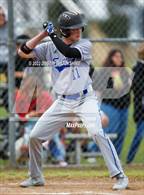 Photo from the gallery "Linden @ Sierra"