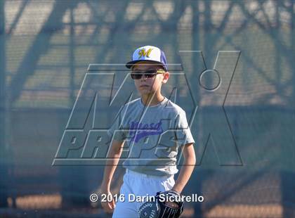 Thumbnail 1 in Shadow Ridge @ Mesa photogallery.
