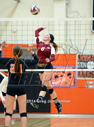 Cardinal Newman @ Santa Rosa