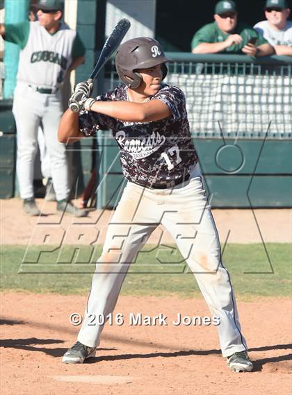 Thumbnail 1 in Ray vs. Phoenix Christian (Salt River/Chandler Prep Tournament) photogallery.