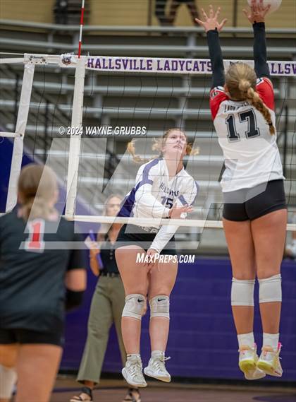 Thumbnail 3 in Tyler Legacy @ Hallsville photogallery.