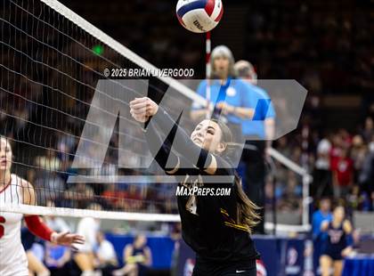 Thumbnail 1 in Alamosa vs. Eaton (CHSAA 3A Final) photogallery.