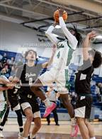 Photo from the gallery "Palmer @ Pine Creek"