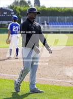 Photo from the gallery "Oakwood @ Windward"