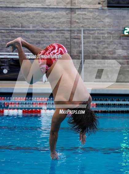 Thumbnail 2 in Southern Nevada Diving Meet 2 photogallery.