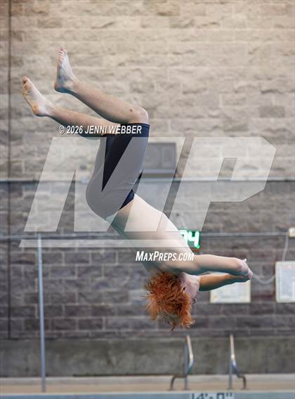 Thumbnail 2 in Southern Nevada Diving Meet 2 photogallery.