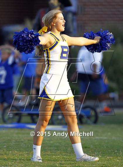 Thumbnail 3 in Brainerd @ Boyd-Buchanan photogallery.