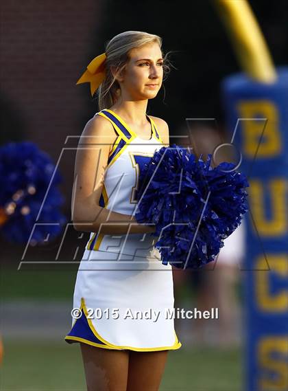 Thumbnail 2 in Brainerd @ Boyd-Buchanan photogallery.