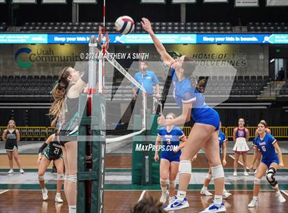 Thumbnail 2 in Canyon View vs. Richfield (UHSAA 3A Finals) photogallery.