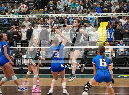 Thumbnail 2 in Canyon View vs. Richfield (UHSAA 3A Finals) photogallery.