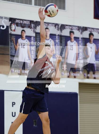 Thumbnail 1 in Basha @ Perry photogallery.