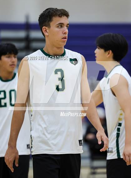 Thumbnail 1 in Basha @ Perry photogallery.