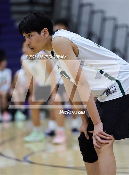 Thumbnail 3 in Basha @ Perry photogallery.