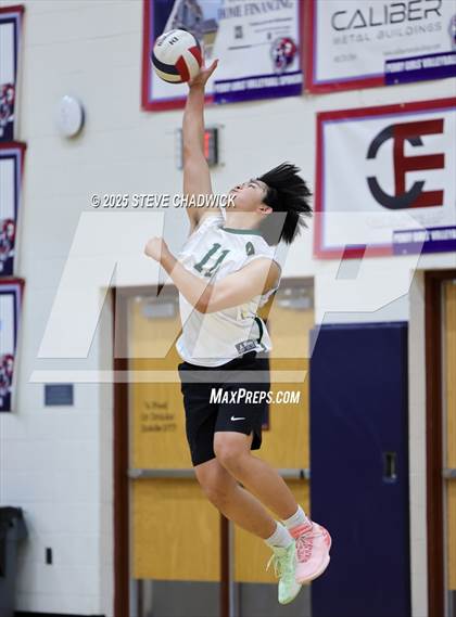 Thumbnail 1 in Basha @ Perry photogallery.
