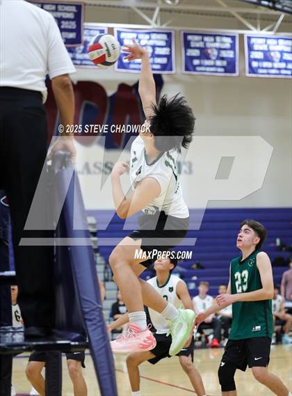 Thumbnail 2 in Basha @ Perry photogallery.