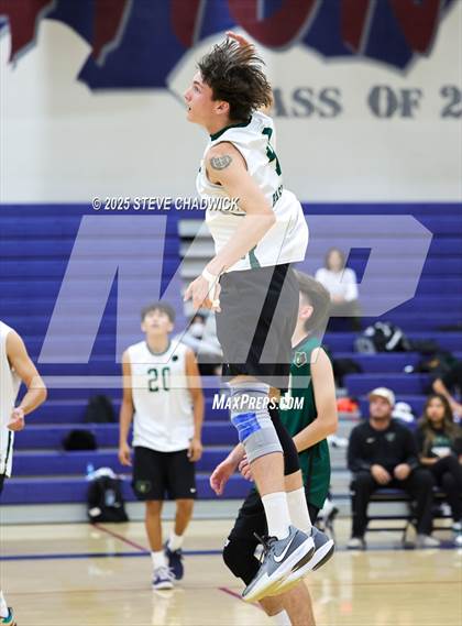 Thumbnail 3 in Basha @ Perry photogallery.