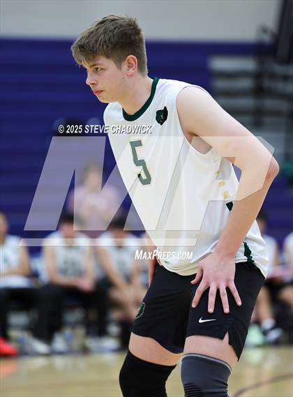 Thumbnail 3 in Basha @ Perry photogallery.