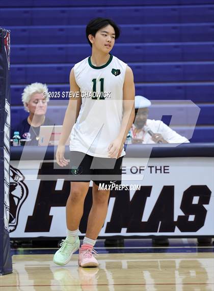 Thumbnail 1 in Basha @ Perry photogallery.
