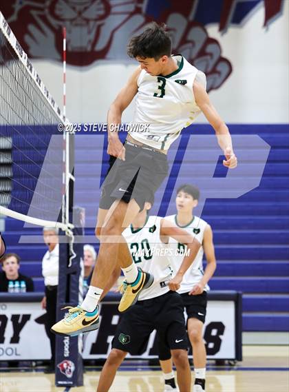 Thumbnail 2 in Basha @ Perry photogallery.