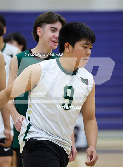 Thumbnail 2 in Basha @ Perry photogallery.