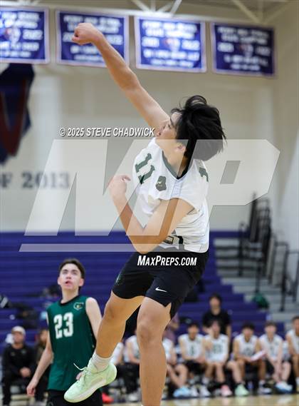 Thumbnail 3 in Basha @ Perry photogallery.
