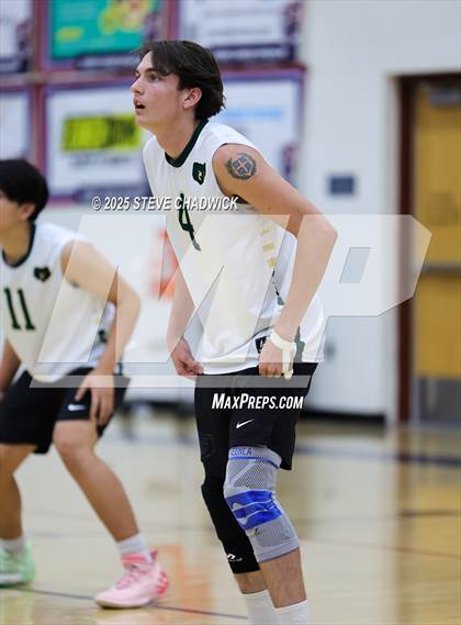 Thumbnail 3 in Basha @ Perry photogallery.