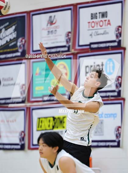 Thumbnail 1 in Basha @ Perry photogallery.