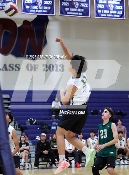Thumbnail 1 in Basha @ Perry photogallery.