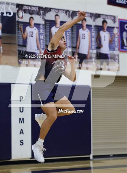 Thumbnail 2 in Basha @ Perry photogallery.