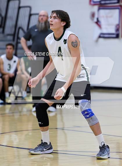 Thumbnail 2 in Basha @ Perry photogallery.