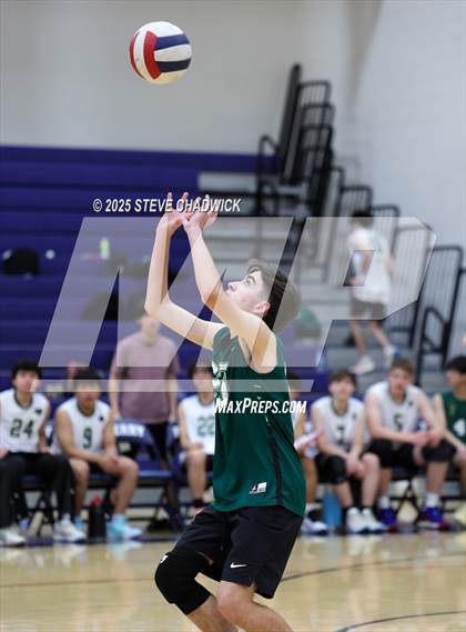 Thumbnail 1 in Basha @ Perry photogallery.