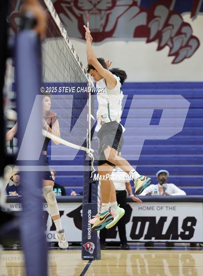 Thumbnail 2 in Basha @ Perry photogallery.
