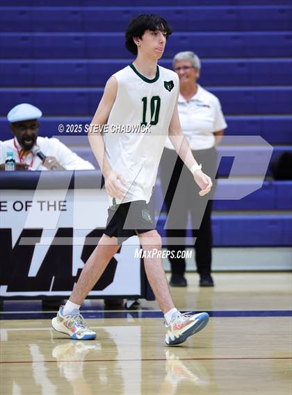 Thumbnail 3 in Basha @ Perry photogallery.