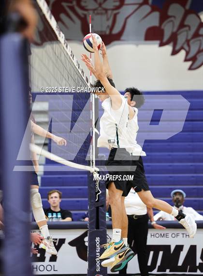 Thumbnail 2 in Basha @ Perry photogallery.