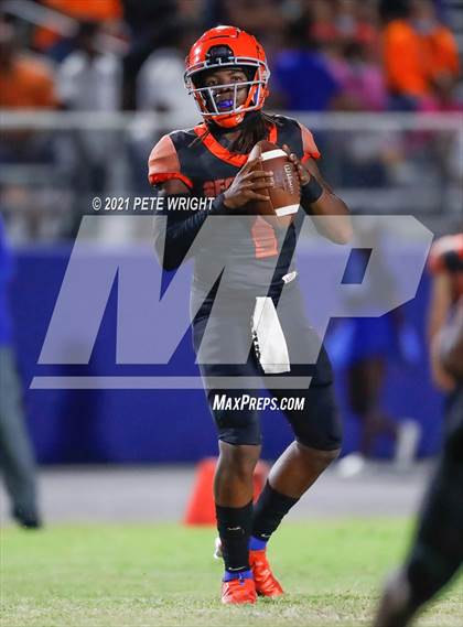 Thumbnail 2 in Spoto @ Southeast photogallery.
