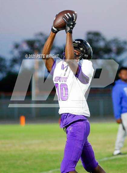 Thumbnail 1 in Spoto @ Southeast photogallery.