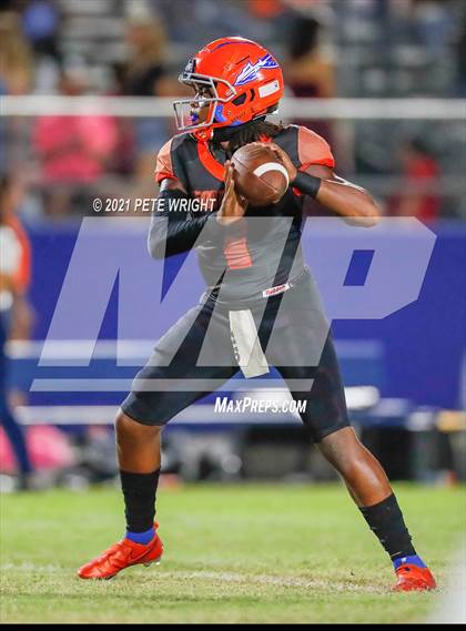 Thumbnail 1 in Spoto @ Southeast photogallery.