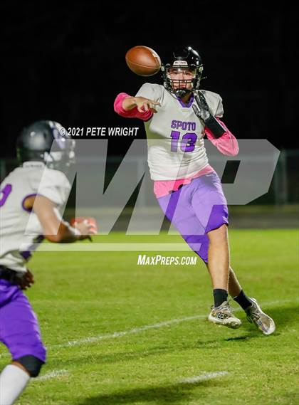 Thumbnail 2 in Spoto @ Southeast photogallery.