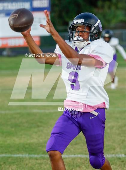 Thumbnail 2 in Spoto @ Southeast photogallery.