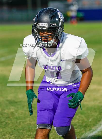Thumbnail 1 in Spoto @ Southeast photogallery.