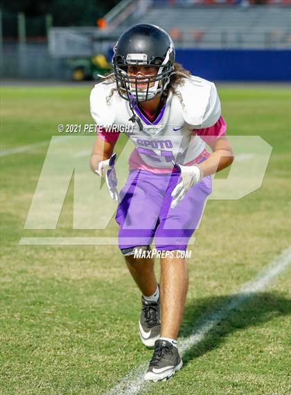 Thumbnail 1 in Spoto @ Southeast photogallery.