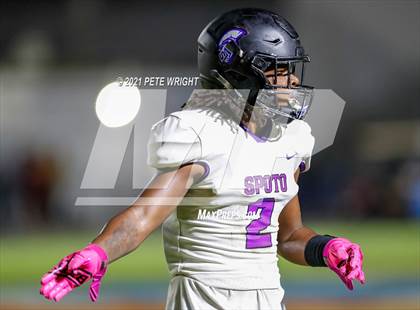 Thumbnail 2 in Spoto @ Southeast photogallery.