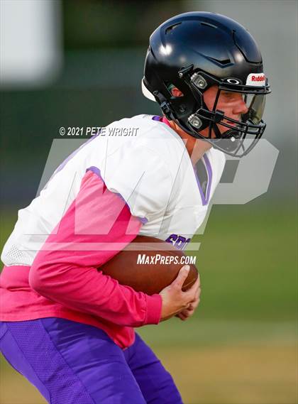 Thumbnail 1 in Spoto @ Southeast photogallery.