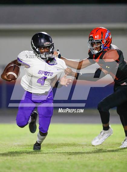 Thumbnail 3 in Spoto @ Southeast photogallery.
