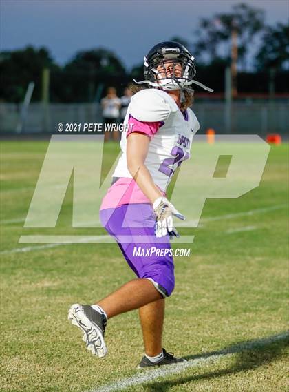 Thumbnail 2 in Spoto @ Southeast photogallery.