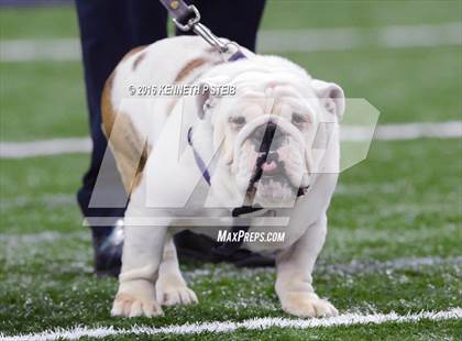 Thumbnail 2 in Amite vs. Lutcher (LHSAA Class 3A Final) photogallery.