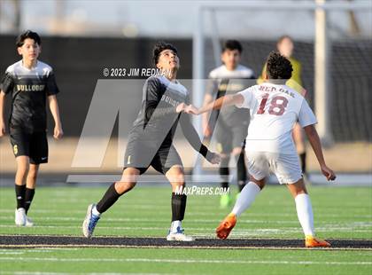 Thumbnail 2 in Red Oak @ Royse City photogallery.